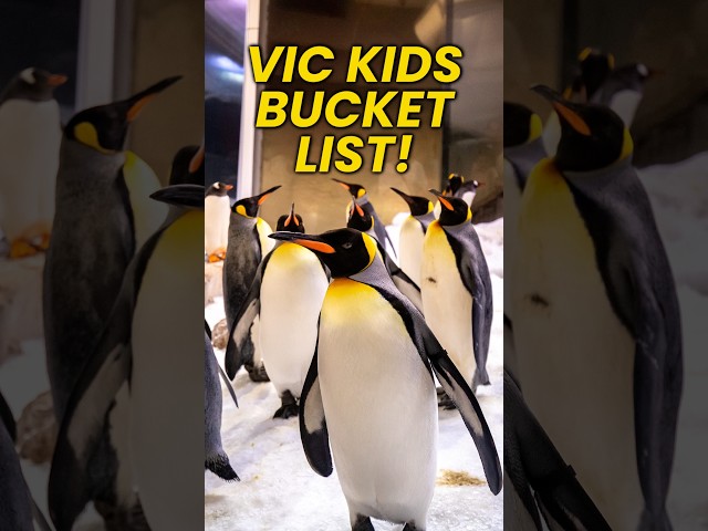 6 Must-Do School Holiday Ideas in Victoria! 🎒