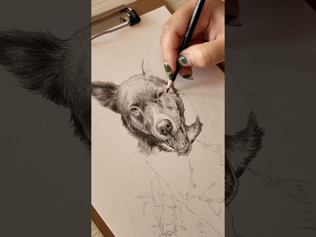 pause your scrolling 🤚🏼 watch me draw a sweet dog 🐾