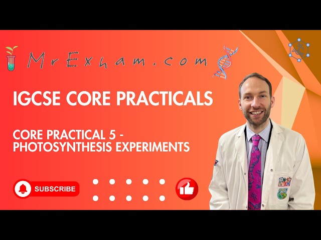 IGCSE Core Practical 5 - Photosynthesis Experiments