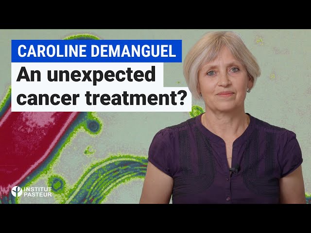 How can the study of this tropical disease improve the treatment of myeloma?| Testimony 🥼