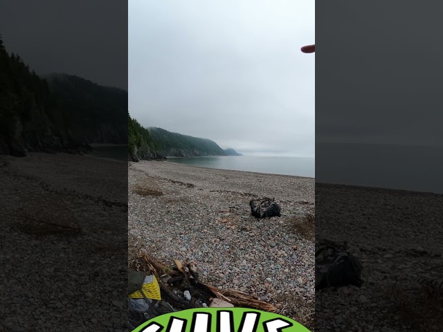Fundy Trail Day 4 - Short, New Brunswick, Canada (Hike 360° VR Video)