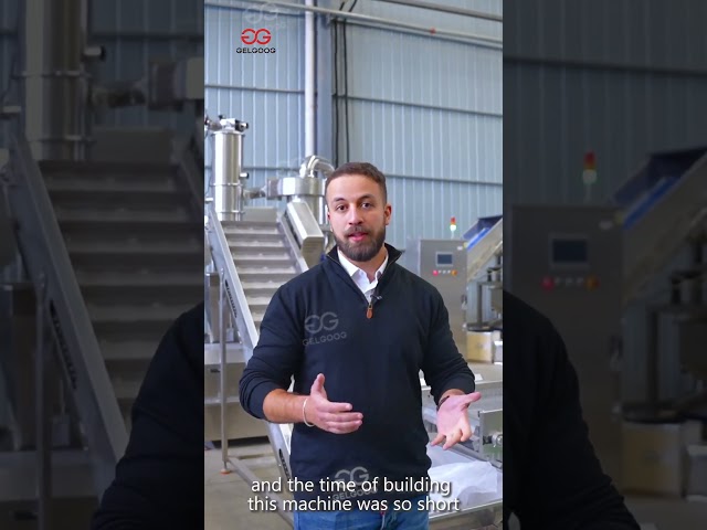 Garlic Powder Line in Algeria – Real Feedback