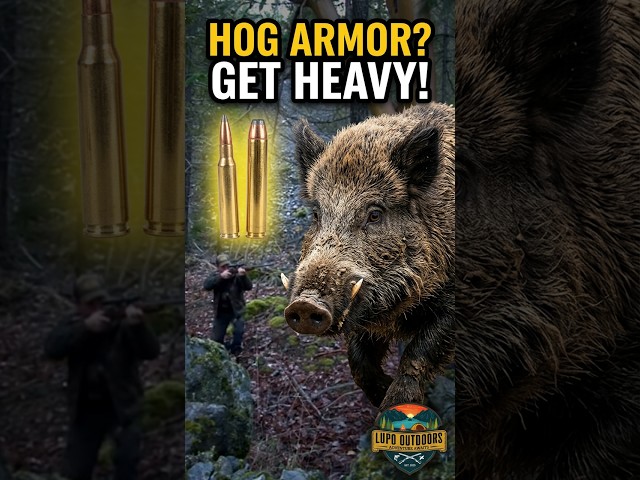 Don't Hunt Wild Boars Without This Caliber #hunting #hoghunting #survival