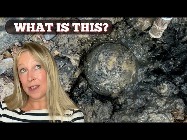 The Thames Gave Up Its Strangest Secret Yet!