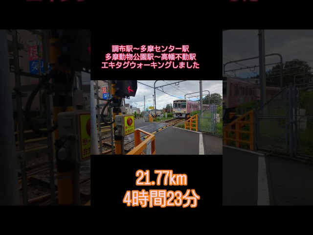 【エキタグウオーキング】京王線 調布駅から京王多摩センター駅、多摩動物公園駅から高幡不動駅  21.77km #エキタグウォーキング