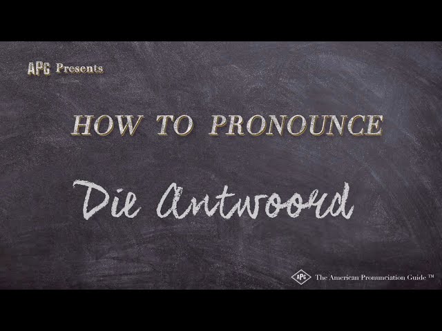 How to Pronounce Die Antwoord (Real Life Examples!)