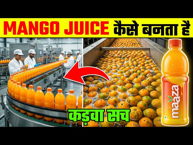 Mango Juice कैसे बनता है? Factory में Maaza बनने का कड़वा सच 😳