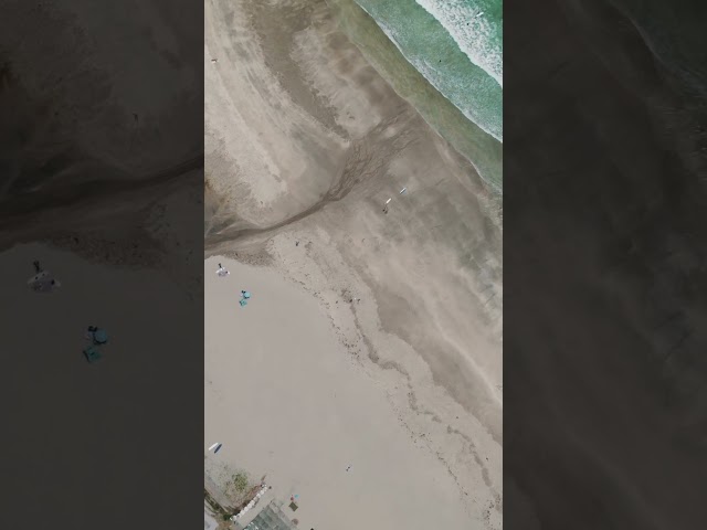 Micro's Surf Trip from IZU 2 #Short ｜Def Tech Micro's Lifestyling.
