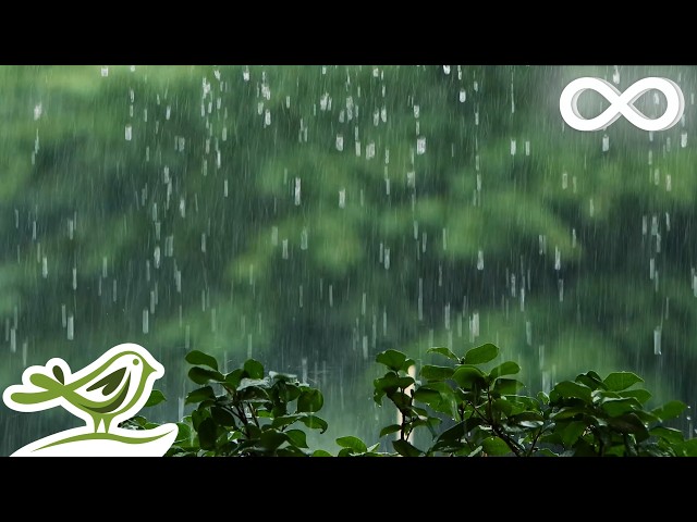 Thursday: 10 Hours of Relaxing Piano Music & Rain Sounds for Sleep & Relaxation