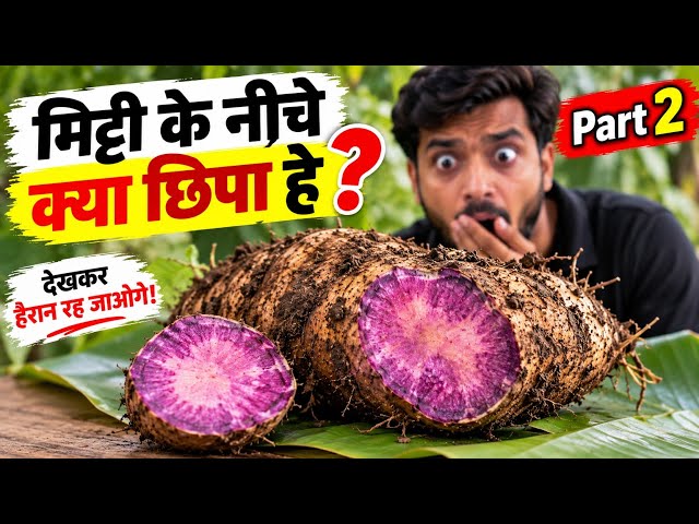 😱 मिट्टी के नीचे छिपे और भी हैरान कर देने वाले रहस्य | Part 2 