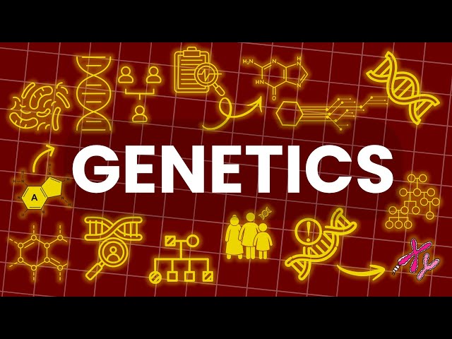 ALL OF GENETICS explained in 8 Minutes