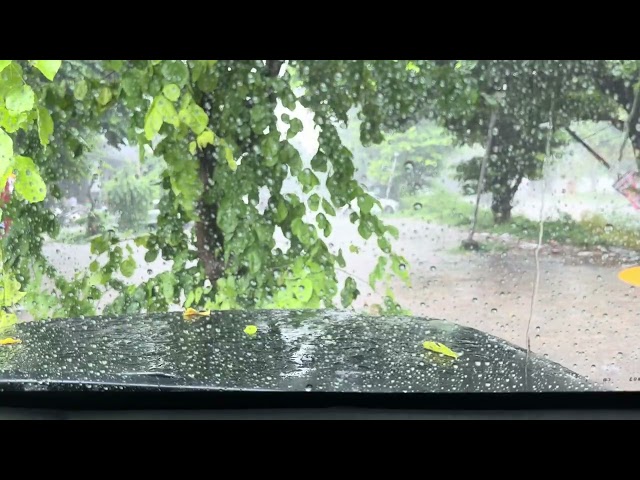 Miss rainy days then check this and feel better 