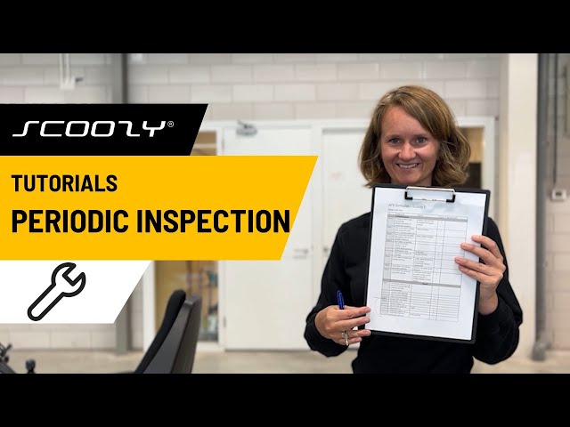 Scoozy C Tutorials - Periodic Inspection