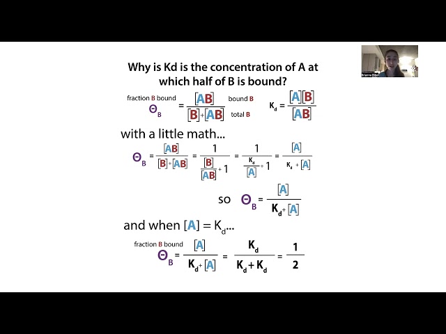 Why Kd doesn't depend on concentrations, but what you measure might; binding vs titration range, etc