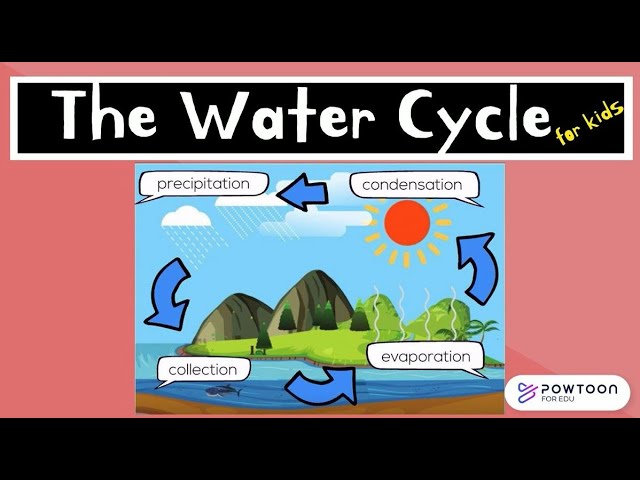 The Water Cycle for Kids!