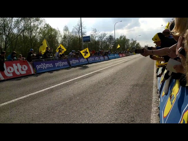 Gilbert wins 2017 Tour of Flanders c'mon son!