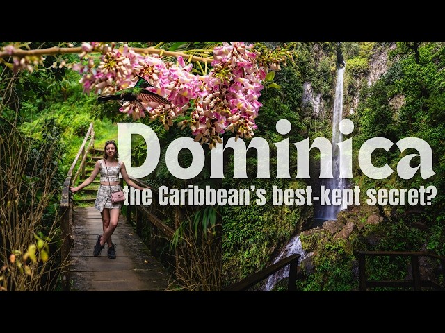 The Most Beautiful Country You’ve NEVER Heard Of... (Dominica)