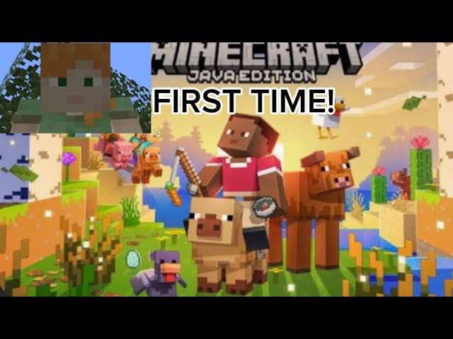 I played minecraft java EDITION for the first time