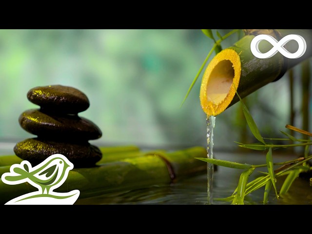 Calm Current: Relaxing Zen Music for Spa, Massage & Wellness with Trickling Water