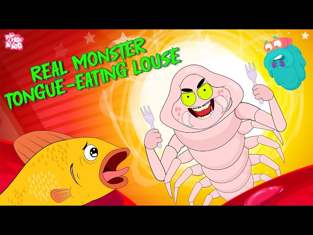 Real Monster Parasite - The Tongue-eating Louse | Cymothoa Exigua Parasite | Dr Binocs Show