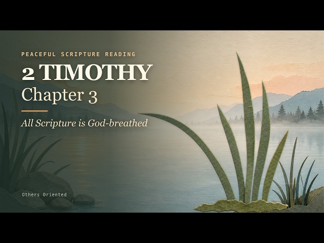 2 Timothy 3 — All Scripture is God-breathed | Peaceful Scripture Reading (BSB)