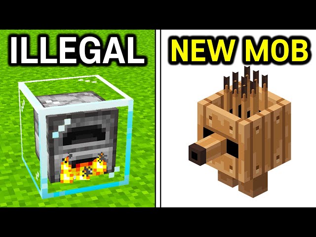 40 Minecraft Secrets You Didn’t Know