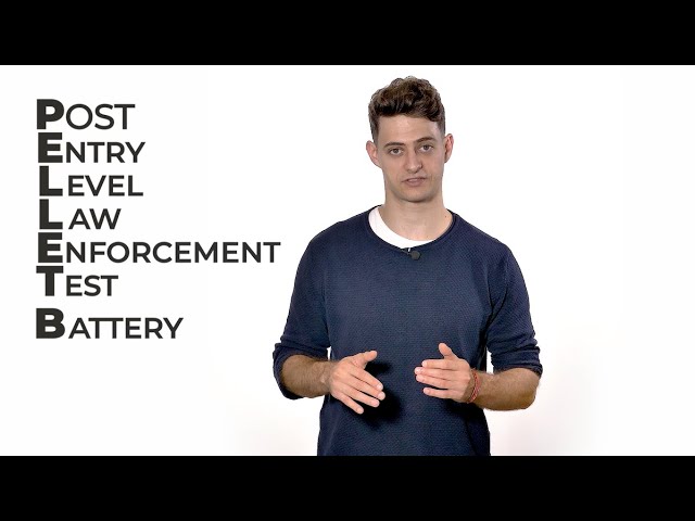 PELLET B  - Full Guide [2026]
