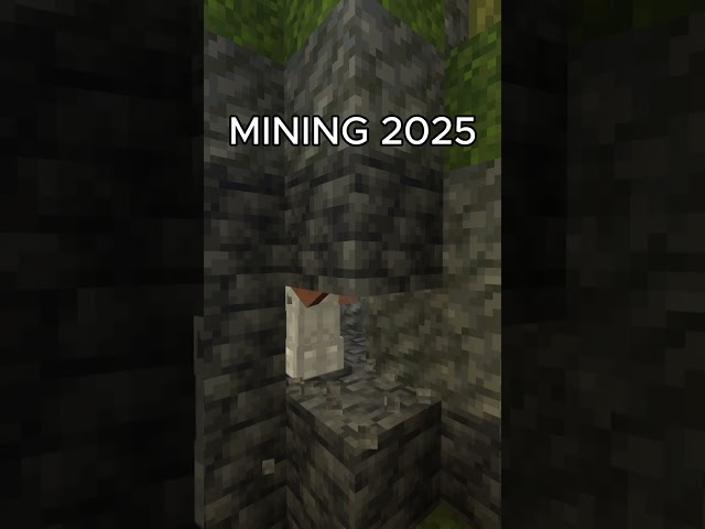 Which Minecraft cave do you prefer?