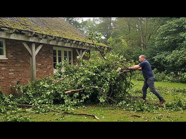 TWO MEN Transform a Massive 9-Year Overgrown Jungle Into an Amazing Garden | by @QuickCuts