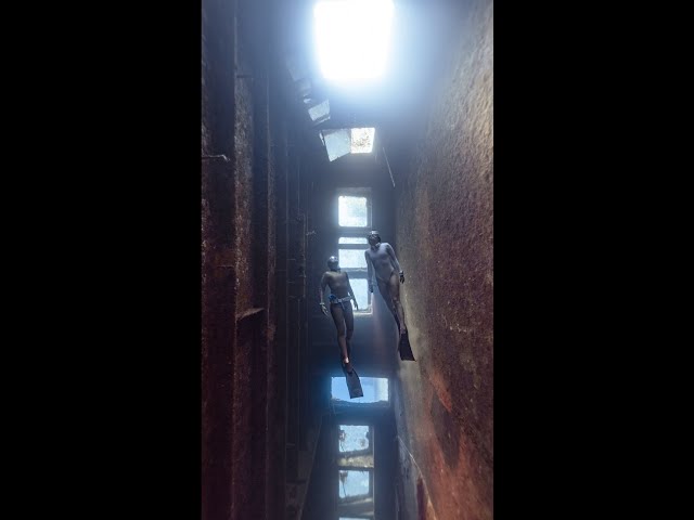 Dropping in on a wreck #shorts #freediving