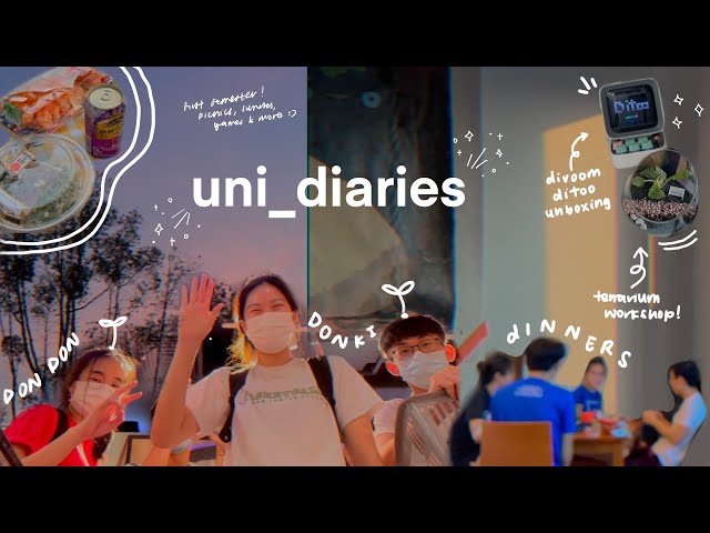 uni diaries: island exploration, hanging out with friends, university work 💐 ☁️