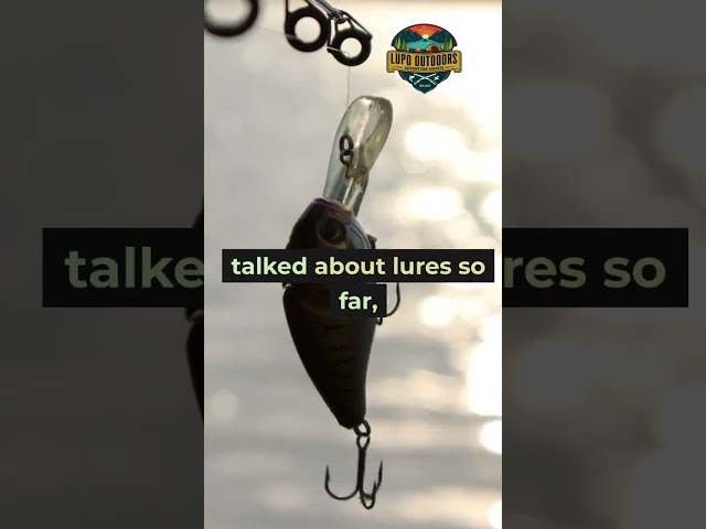 Fall Bass Fishing Hack Your Tackle Box Needs #bassfishing #fishing #shorts