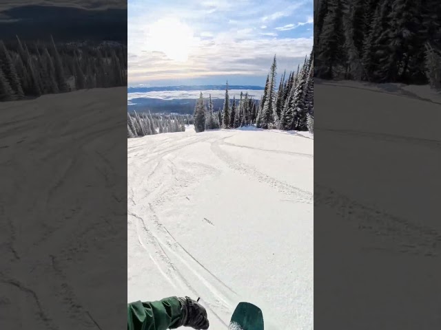 POV: Squirrel #skibigwhite #explorebc #canada