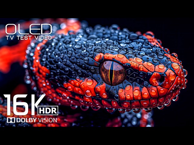 BEST 16K HDR 120FPS Video | Dolby Vision | 4K Video/8K ULTRA HD TV