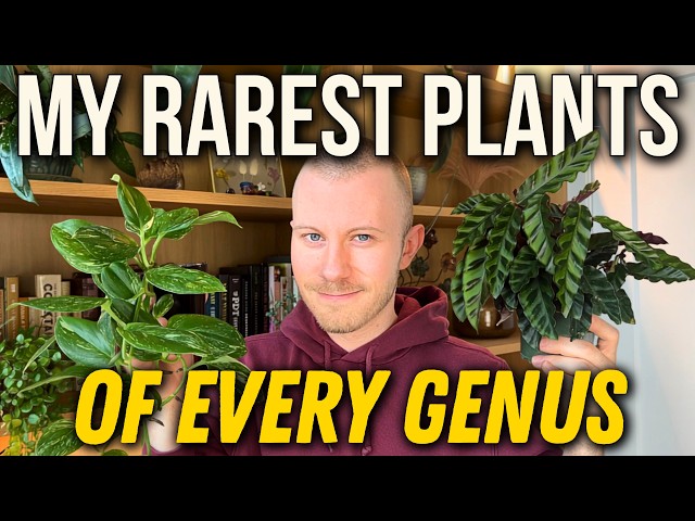 My Rarest Plants Of Every Genus