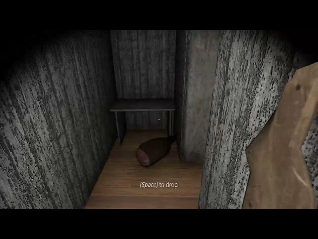 Playing granny 2021 pc version