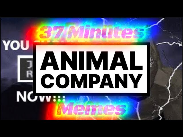 37 MINUTES OF PEAK ANIMAL COMPANY MEMES 🤣😂🤣