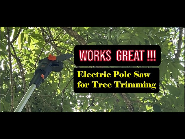 WEN Electric Pole Saw for tree trimming 6 amp motor 8 inch chain Telescoping Model: 4019 Easy to Use