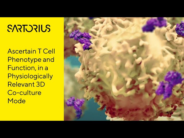 Webinar (Preview): T Cell Characterization in 3D Cell Models using Advanced Flow Cytometry