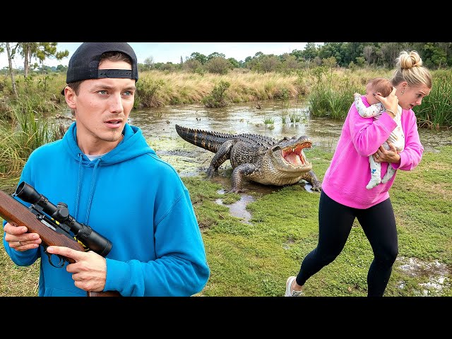 The Gator In My Backyard Has Become A Problem...