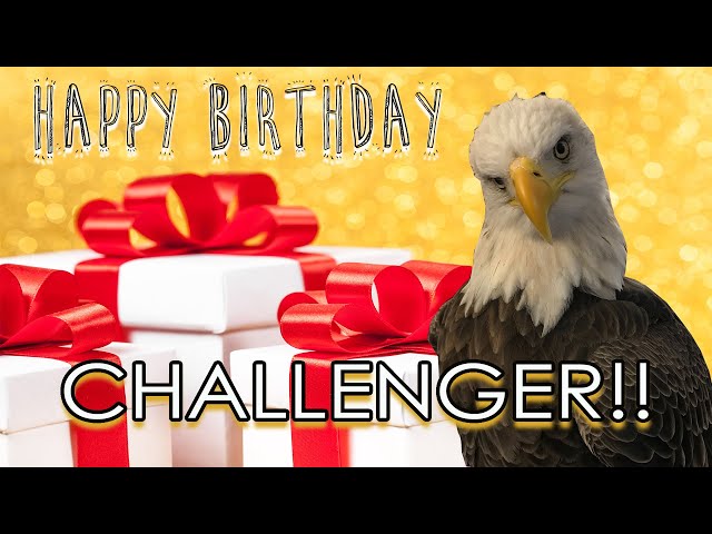 Challenger The Bald Eagle Celebrates Hatch Day 2020