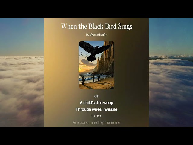 When The Blackbird Sings by @jonathonfly (Official Music Video)