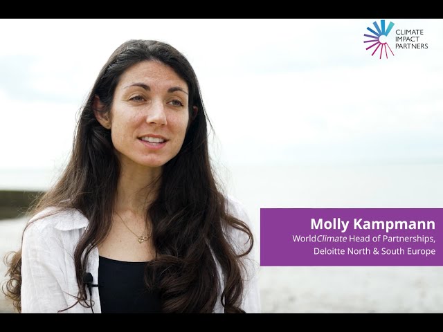 Accelerate Seagrass: Why Deloitte is working with Climate Impact Partners, Project Seagrass & NOC