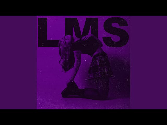 lms (demo)