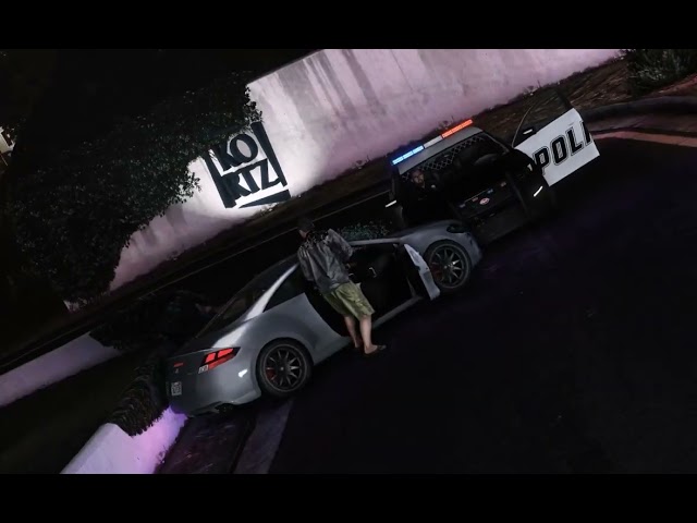 #RickRanGz - Aint Right GTA5 Visualizer