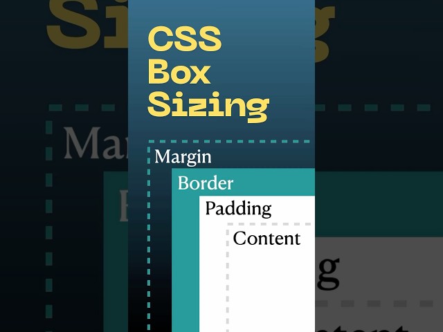 Box sizing property in CSS explained! #csstutorial