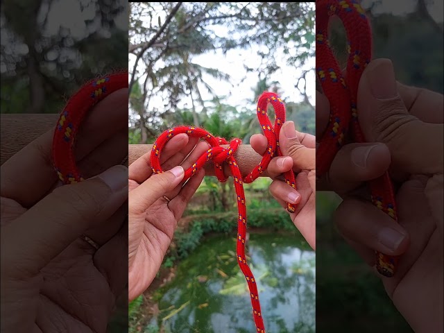 Easy Knot Tutorial for Beginners #knot #rope #bushcraft #diy #tutorial