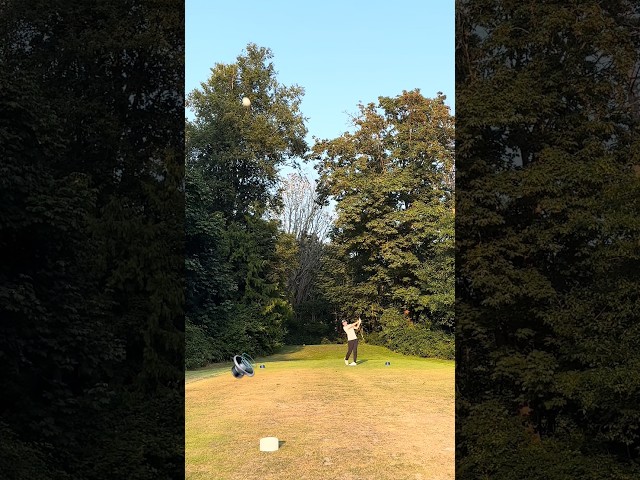 Bullet shot 💥💨     #golf #stinger #golfshot #bullet # #golfshorts #golfswing #golfskills