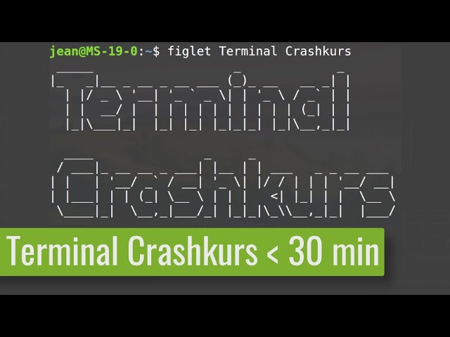 Terminal Crash Course - Master the Linux Terminal in under 30 minutes!