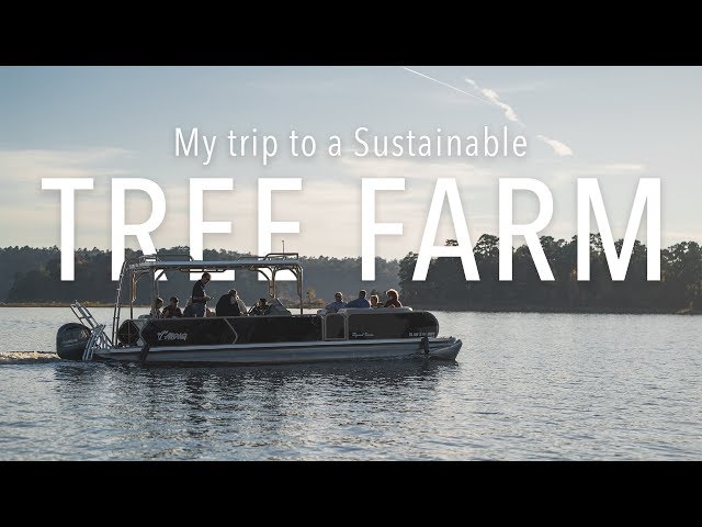 My Trip to a Sustainable Tree Farm - FSC Certification on Paper Products | Bella Bucchiotti